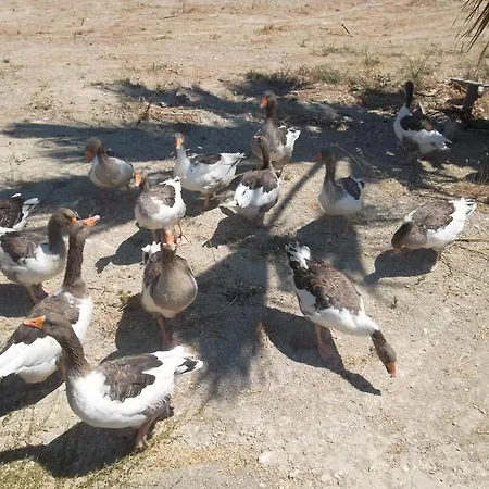 Апарт-отель Godik