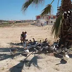 Godik