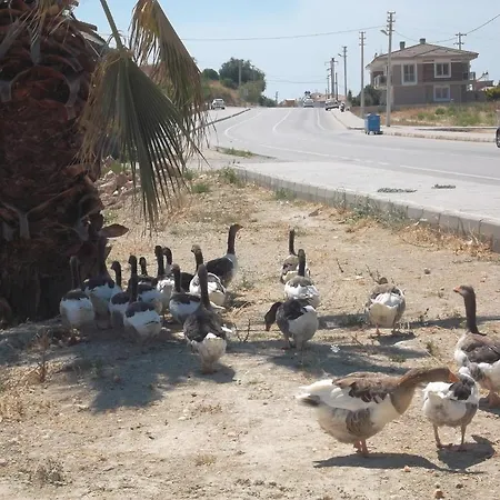 Hotel de apartamente Godik